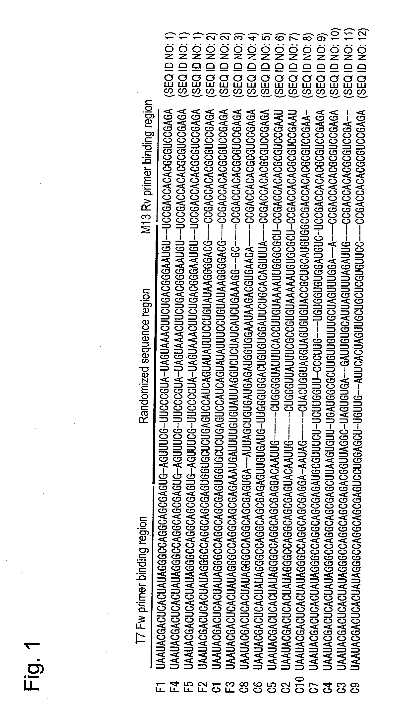 Aptamer capable of binding to viral hemorrhagic septicemia virus