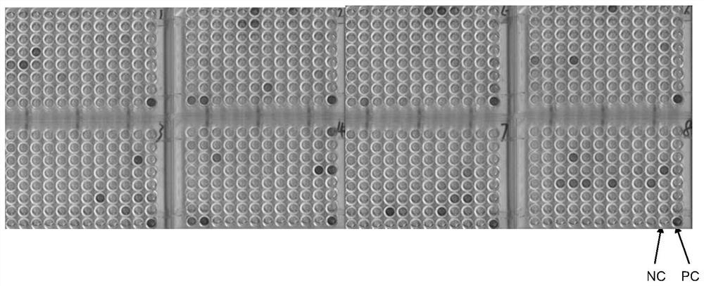 anti mhi  <sub>n2</sub> Protein antibody, application thereof and kit containing same