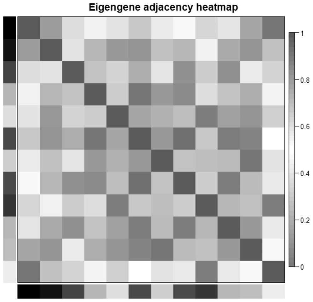 A tumor immune subtype classification method and system