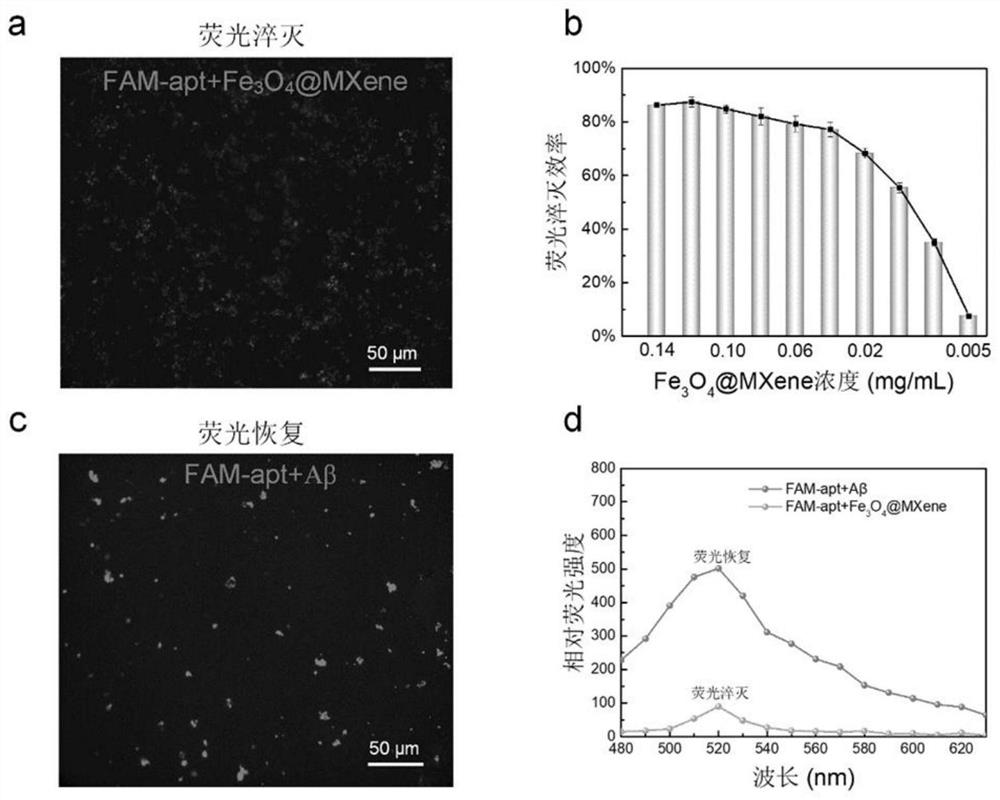 Method for realizing accurate detection of beta-amyloid protein by using Fe3O4@MXene core-shell structure nanocomposite