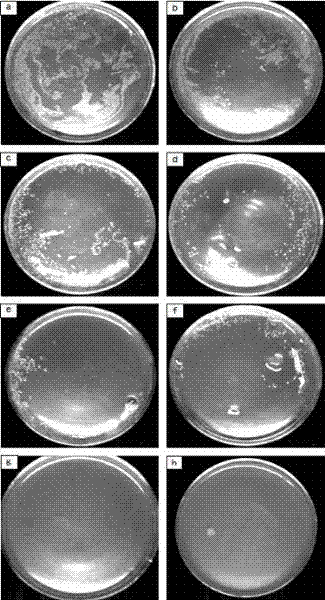 Preparation method for dodecyl trimethyl ammonium bromide (DTAB) antibacterial solid paraffin