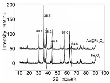 Preparation method and application of electrochemical sensor for non-coding RNA