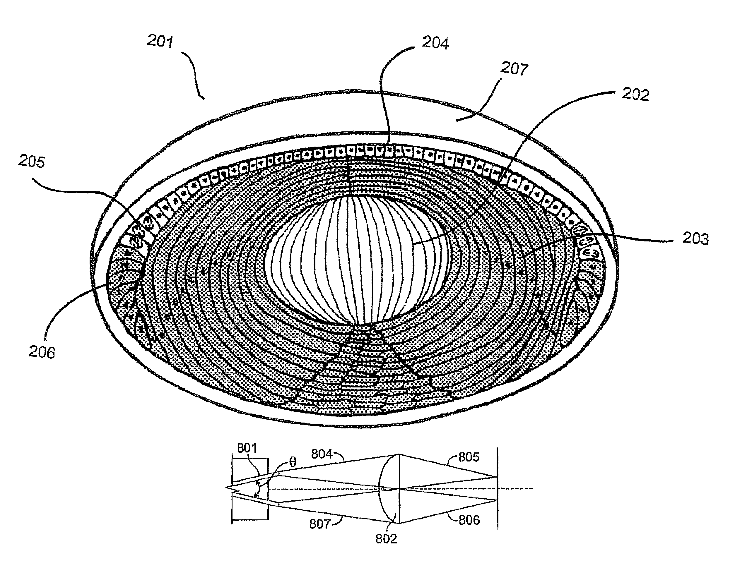 Processes and apparatus for preventing, delaying or ameliorating one or more symptoms of presbyopia