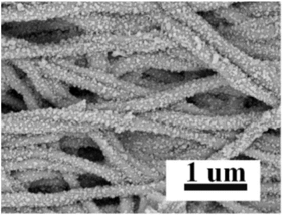 Alginic acid/nano-silver composite nanofiber and preparation method thereof