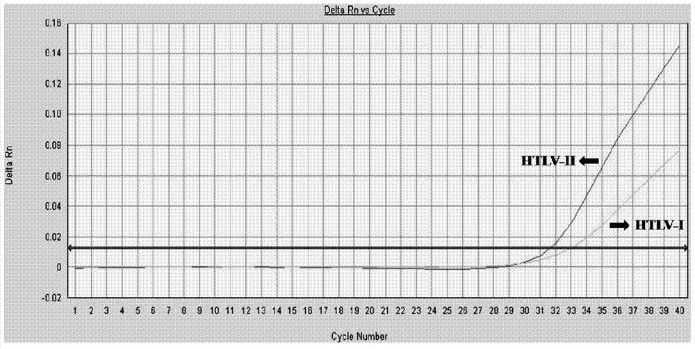 Primer and method for detecting HTLV (human T-lymphotropic virus)-I and HTLV-II proviruses in same pipe