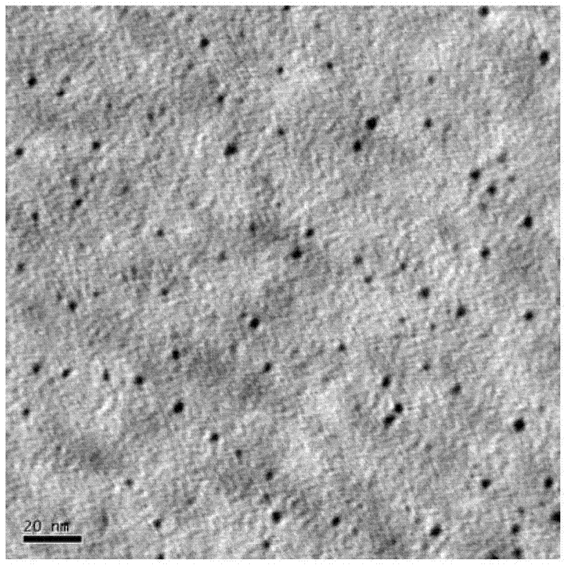 Method for preparing high-stability polymer coated nano silver cluster
