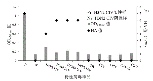 Kit for detecting H3N2 subtype canine influenza virus