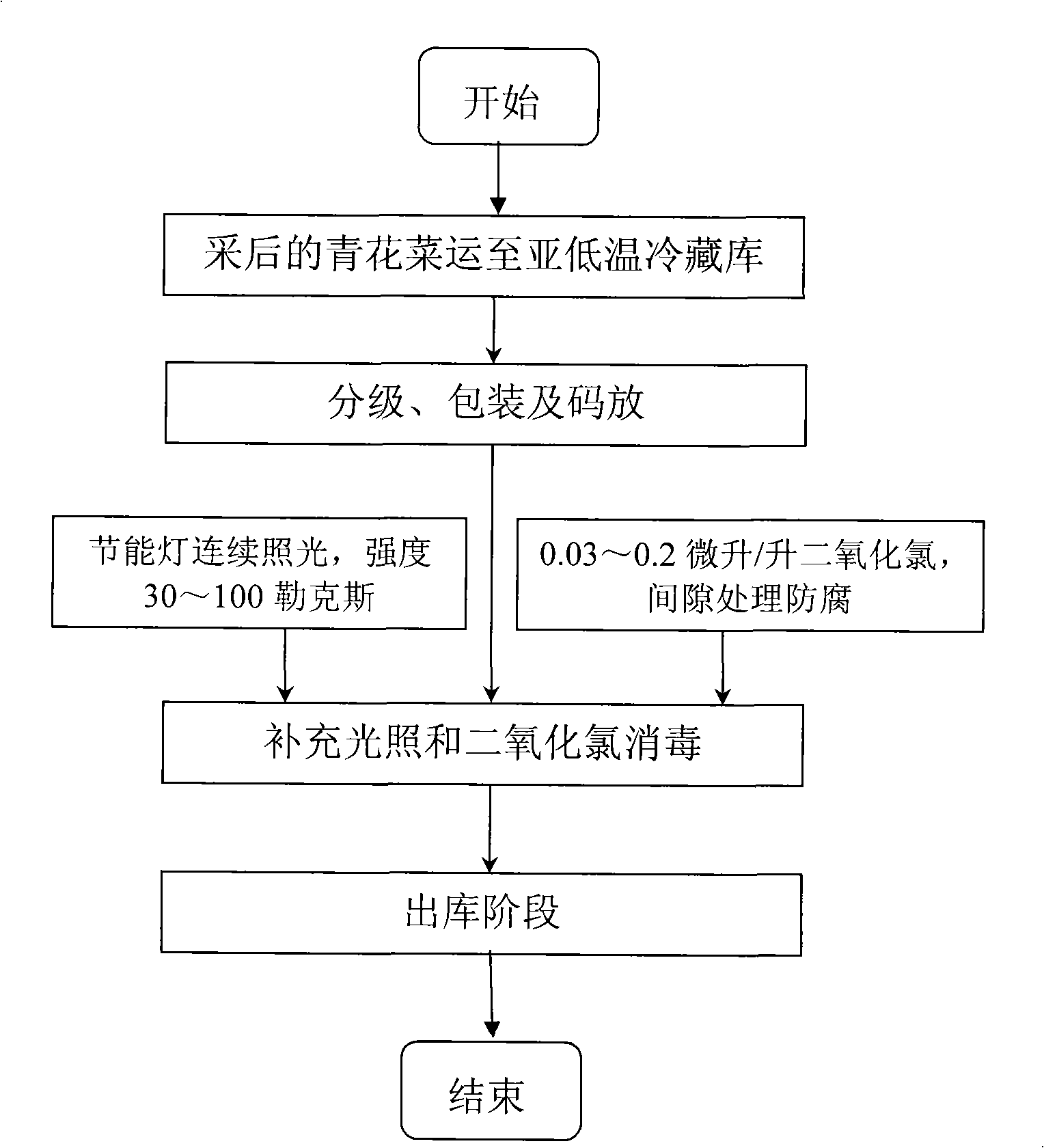 Method for processing broccoli for fresh-keeping using light filling and chlorine dioxide in sub-low-temperature cold-storage