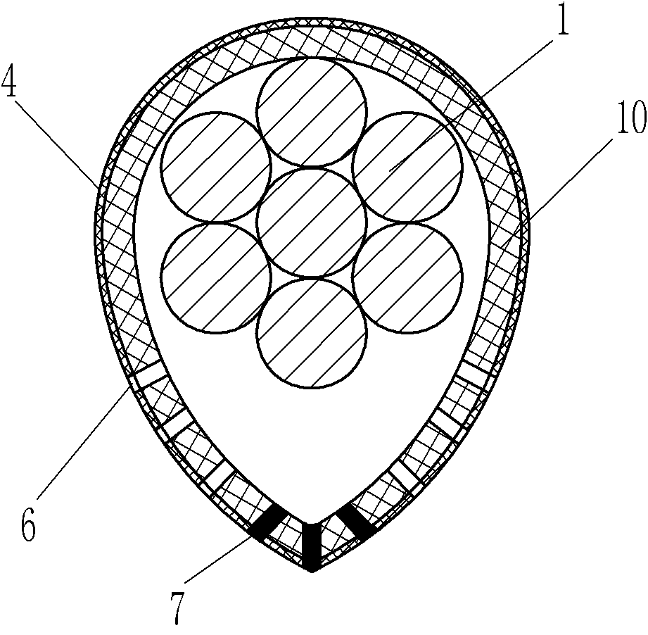 Anti-icing cable and auxiliary facility