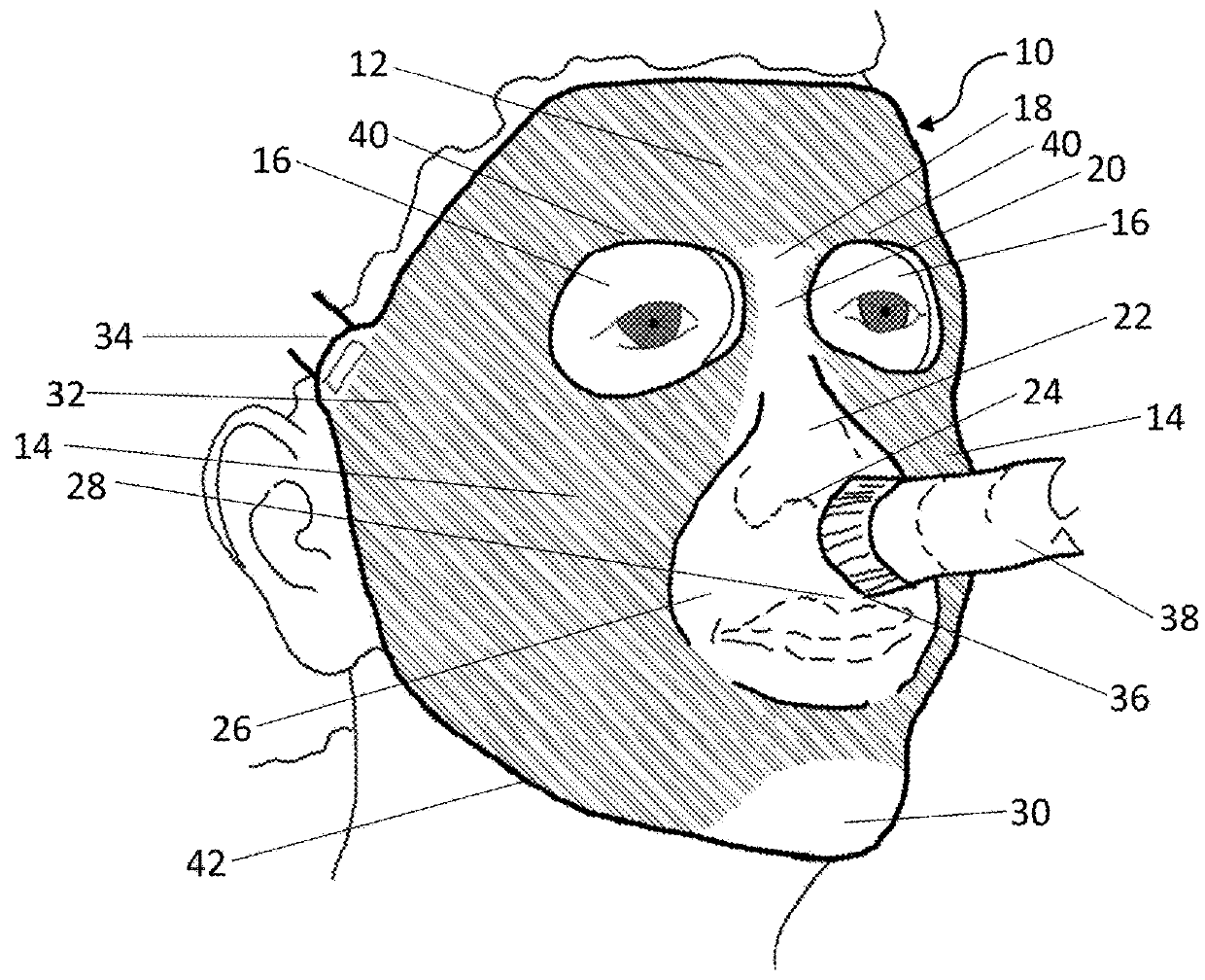 Facial mask apparatus and method of making