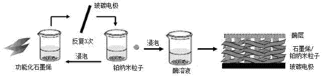 Preparation method of double-enzyme glucose sensor based on graphene