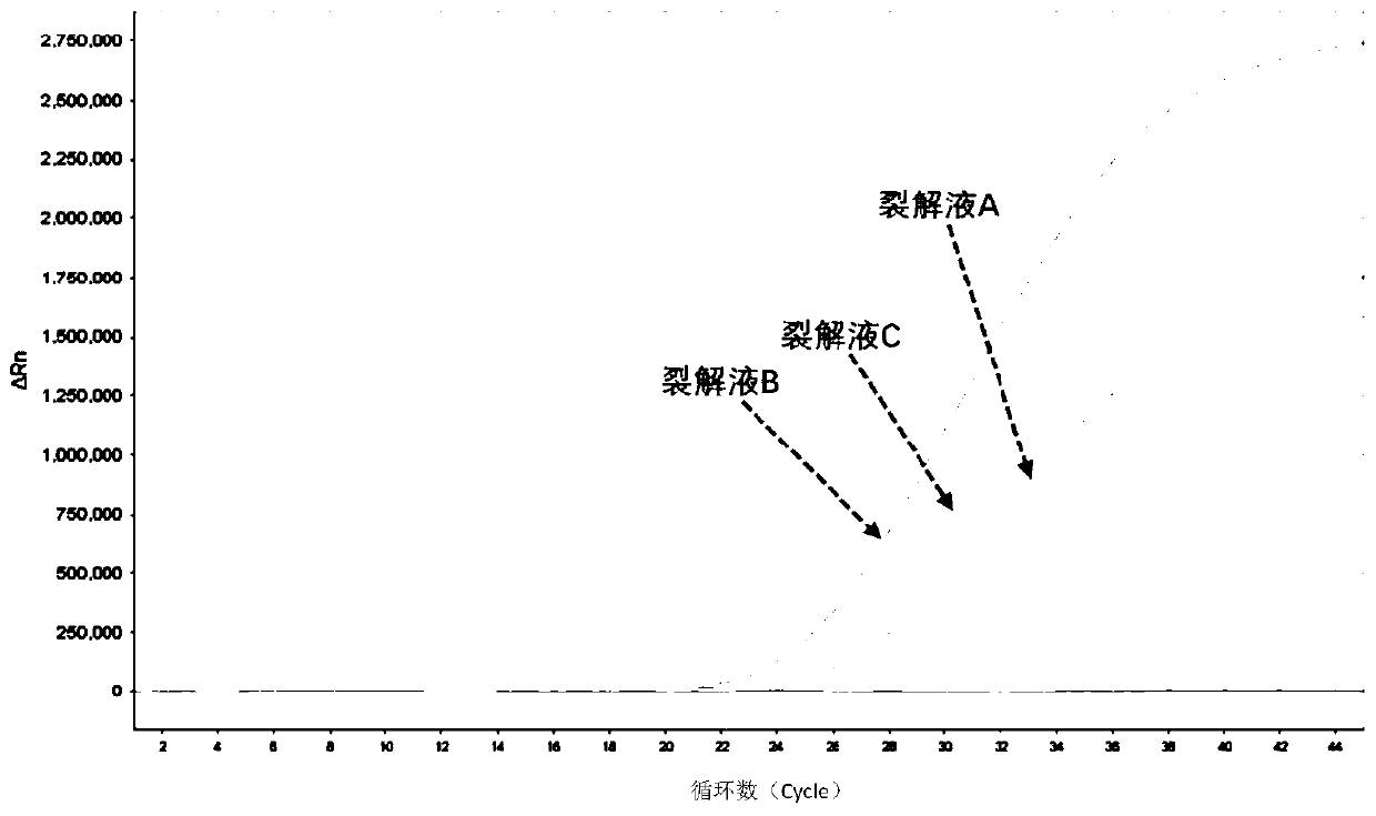 Universal microbial pathogen lysate and application thereof