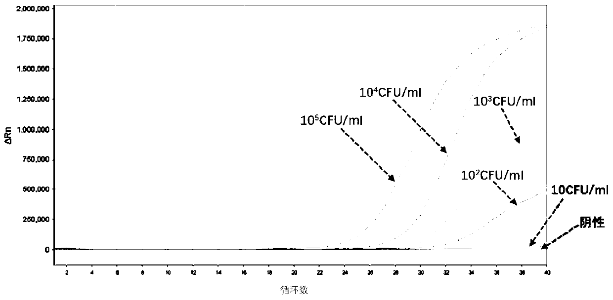 Universal microbial pathogen lysate and application thereof