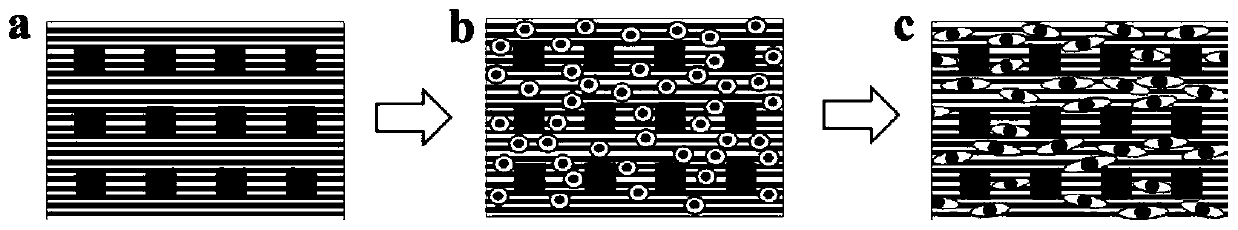 Conductive micro-needle patch integrated with myocardial cells derived from induced pluripotent stem cells and preparation method for conductive micro-needle patch and application of conductive micro-needle patch