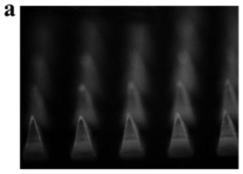 Conductive micro-needle patch integrated with myocardial cells derived from induced pluripotent stem cells and preparation method for conductive micro-needle patch and application of conductive micro-needle patch