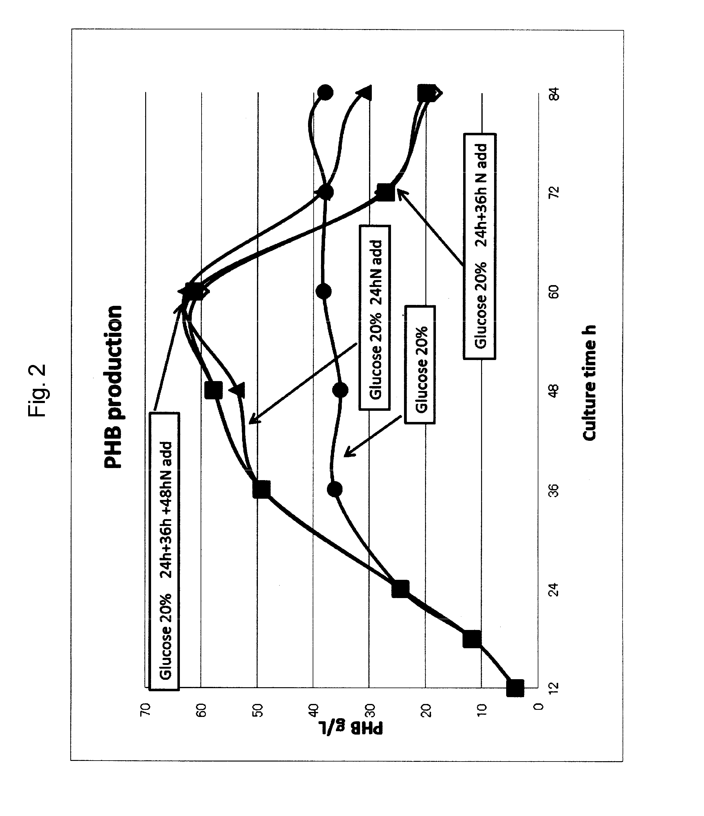 Method for manufacturing 3-hydroxybutyric acid using halomonas sp.