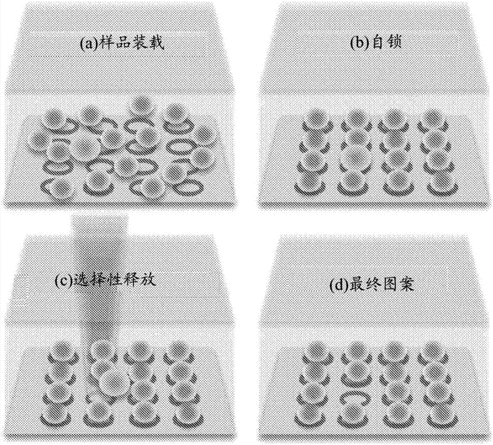 Self-locking optoelectronic tweezer and its fabrication