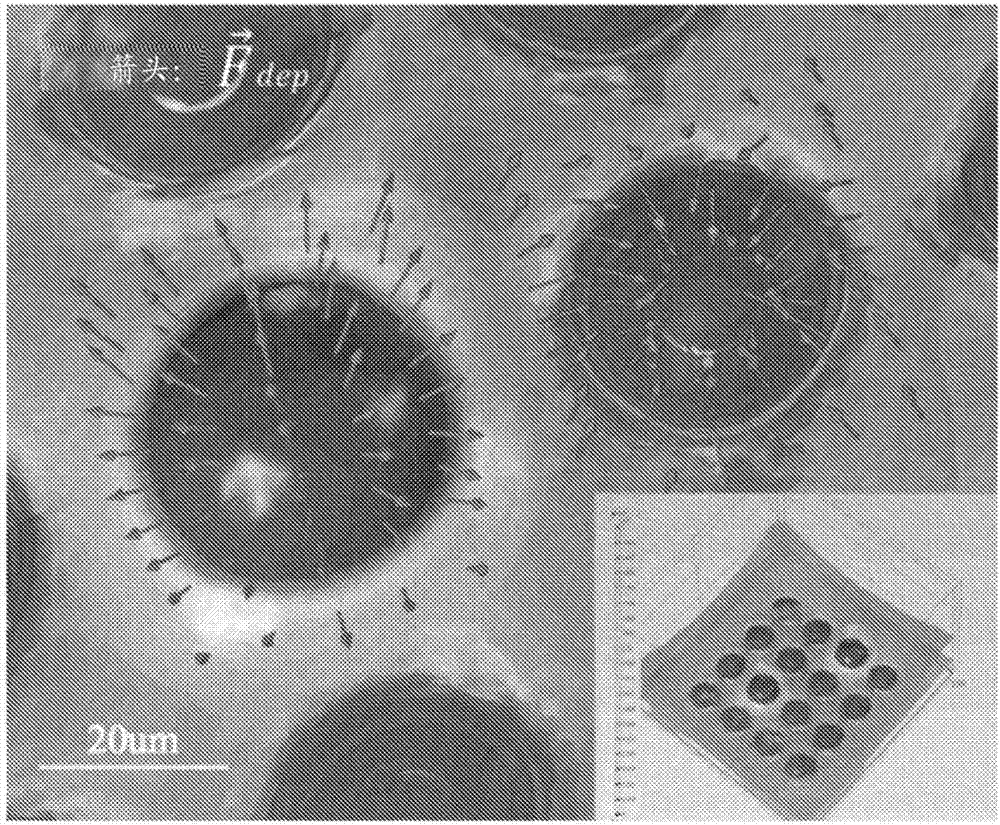 Self-locking optoelectronic tweezer and its fabrication