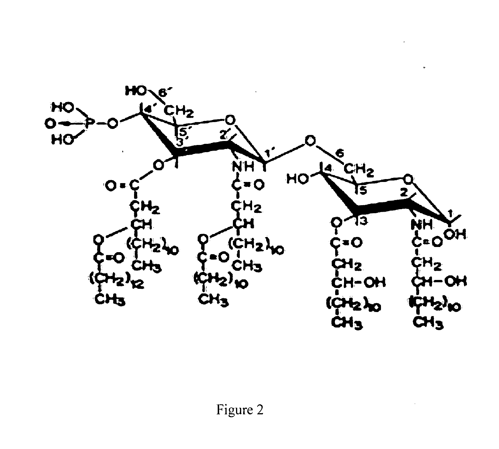 Methods of making a chitosan product having an ultra-low endotoxin concentration and the ultra-low endotoxin chitosan product derived therefrom and method of accurately determining inflammatory and anti-inflammatory cellular response to such materials