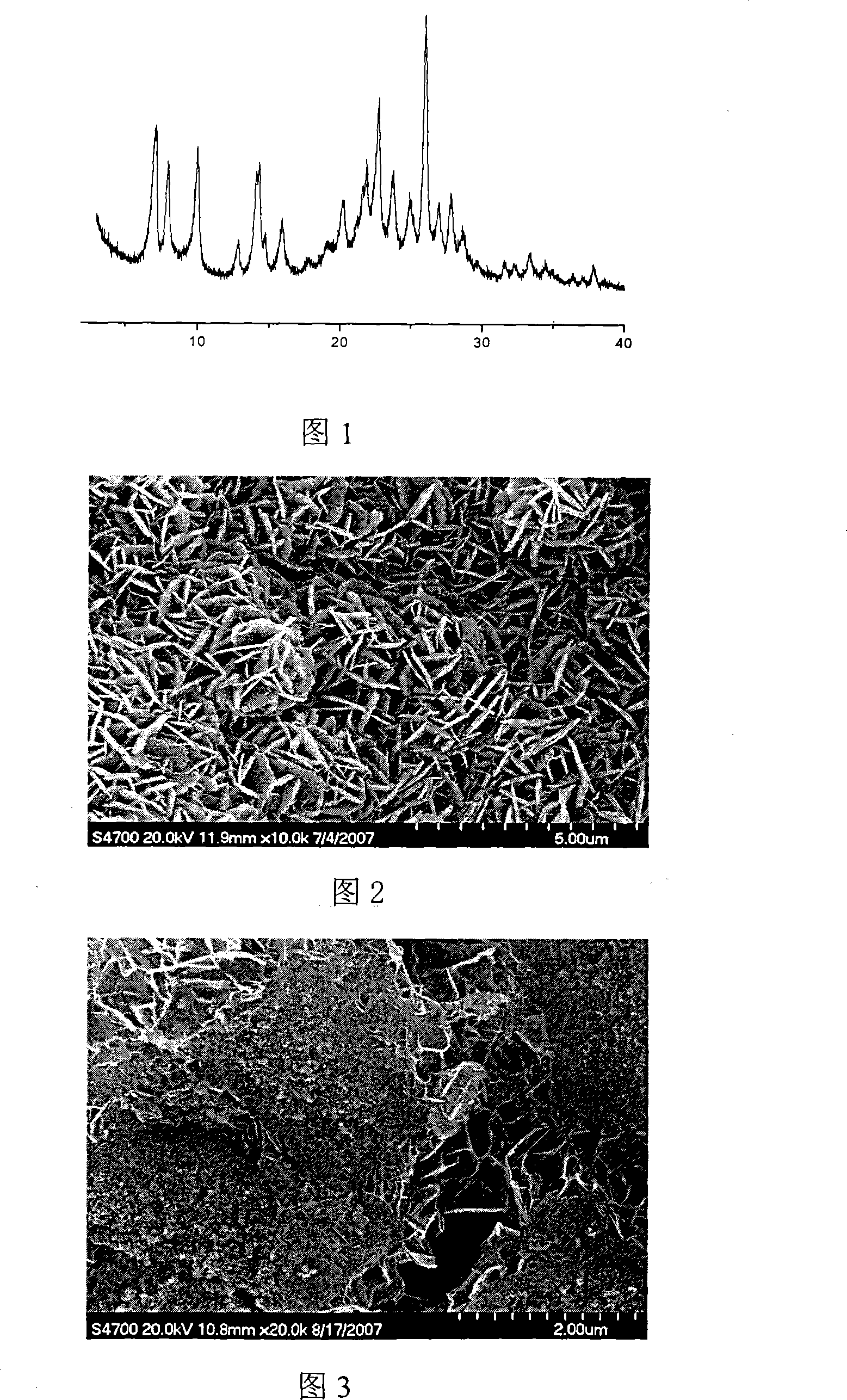 In-situ gas-phase method for preparing industrial zeolite catalyst