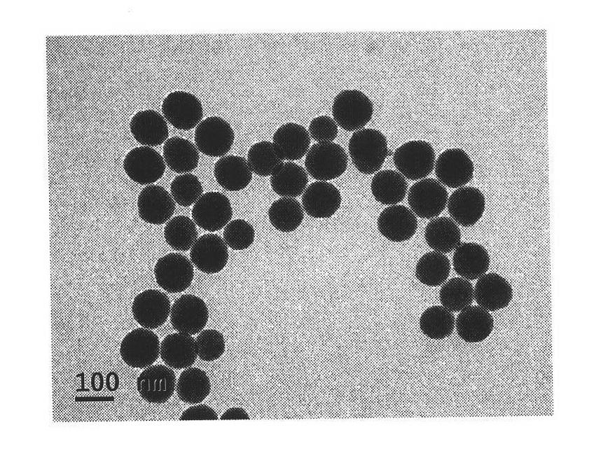 Fluorescent nanoparticles Ru(bpy)3/SiO2, preparation method and application thereof