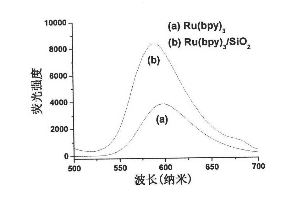 Fluorescent nanoparticles Ru(bpy)3/SiO2, preparation method and application thereof
