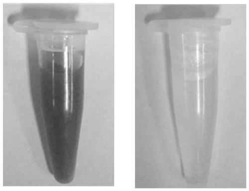 Thermo-chromic micro-capsule and preparation method and application thereof