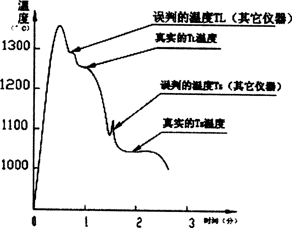 Metal liquid integrative performance on-line intelligent checking system