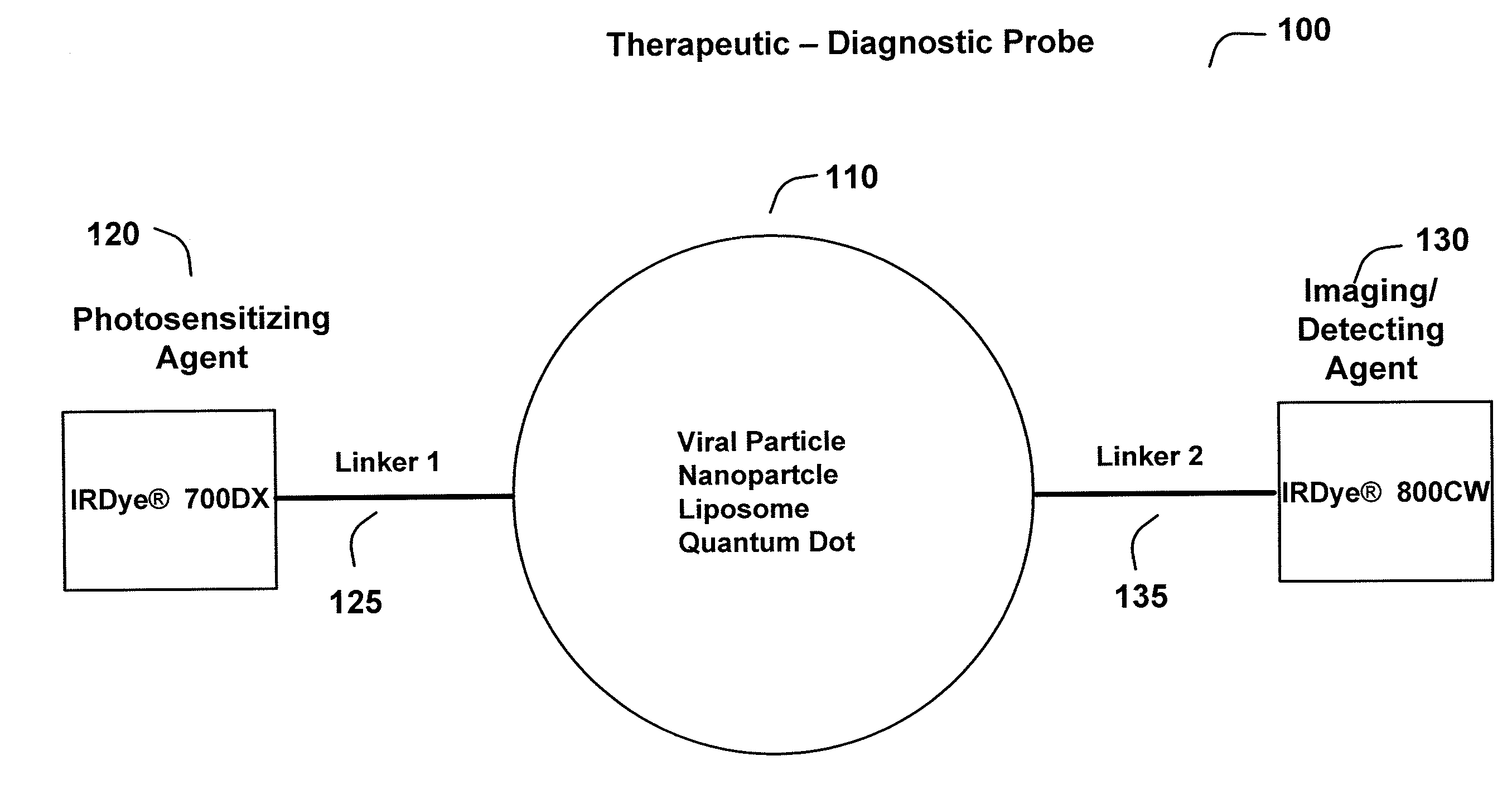 Therapeutic and diagnostic probes