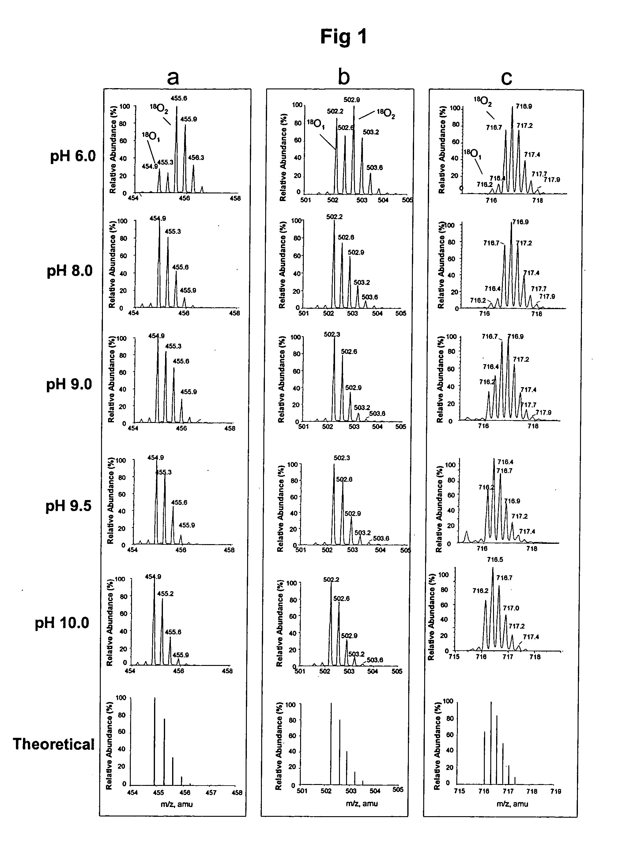 Method for single oxygen atom incorporation into digested peptides using peptidases