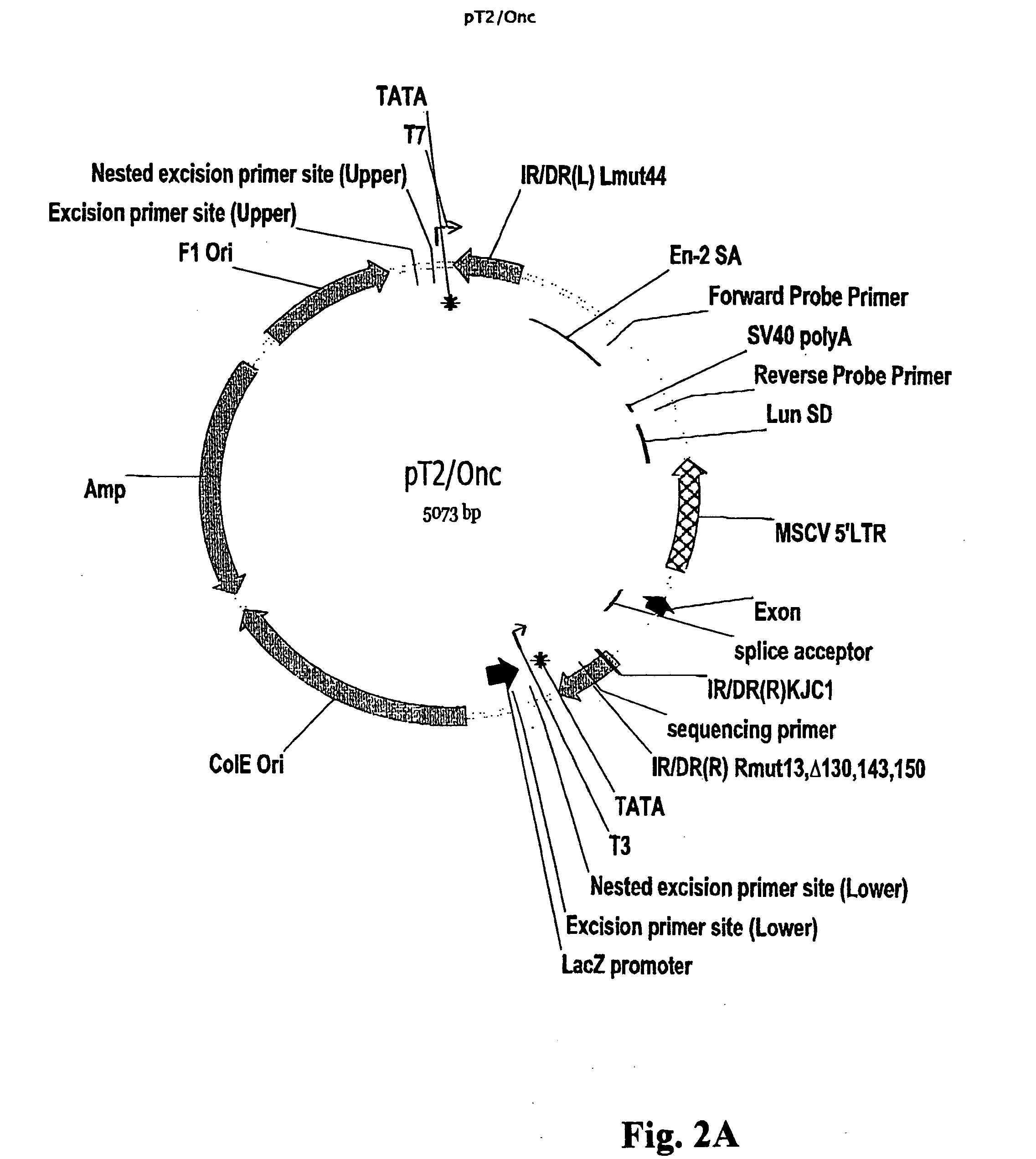 Methods and compositions for identification of genomic sequences