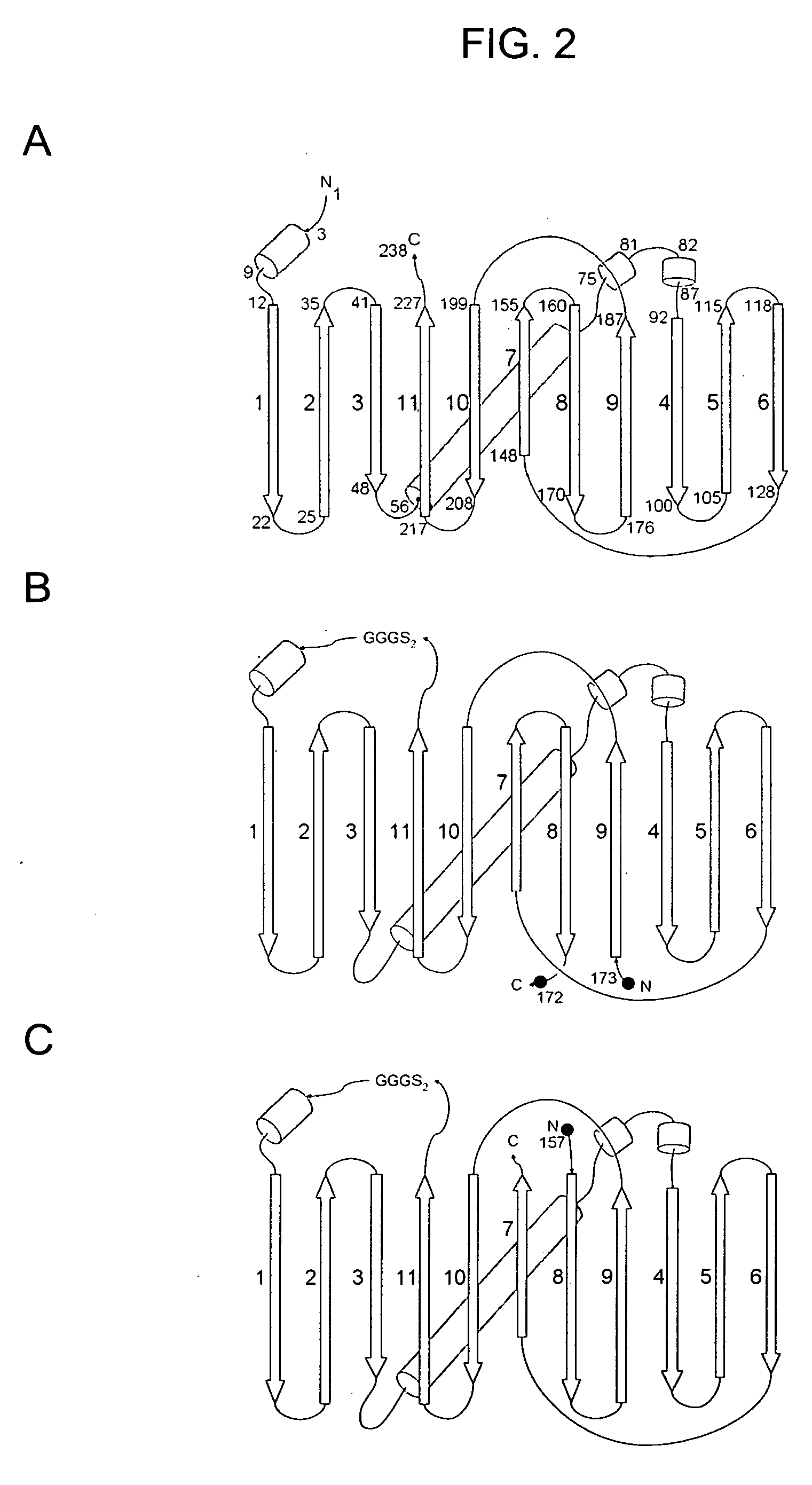 Circular permutant GFP insertion folding reporters