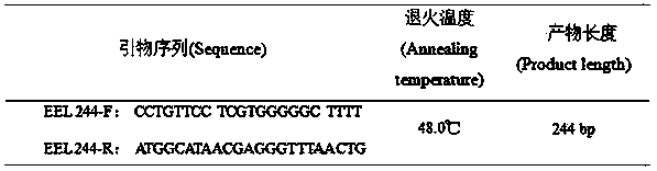 DNA (deoxyribonucleic acid)-barcode-based eel species identification method