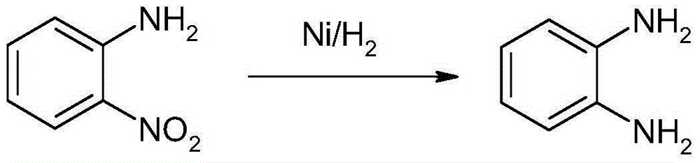 Method for synthesizing and preparing o-phenylenediamine from orthodichlorobenzene