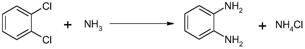 Method for synthesizing and preparing o-phenylenediamine from orthodichlorobenzene