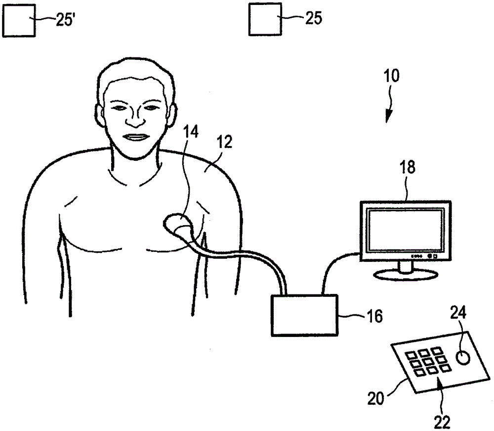 System and method for mapping ultrasound shear wave elastography measurements