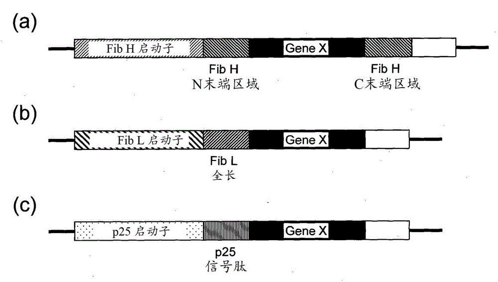 Posterior silk gland gene expression unit and transgenic silkworm containing same