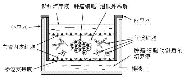 Simulation three-dimensional cell cultivation device and cultivation method