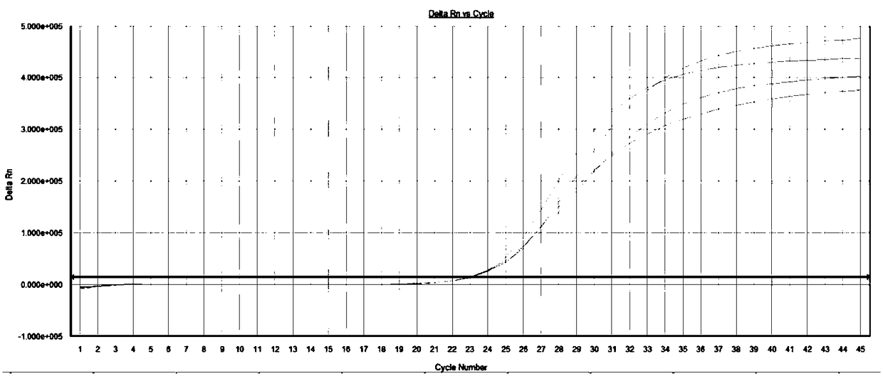 Multiplex fluorescent PCR detection kit for periodontitis pathogenic bacteria