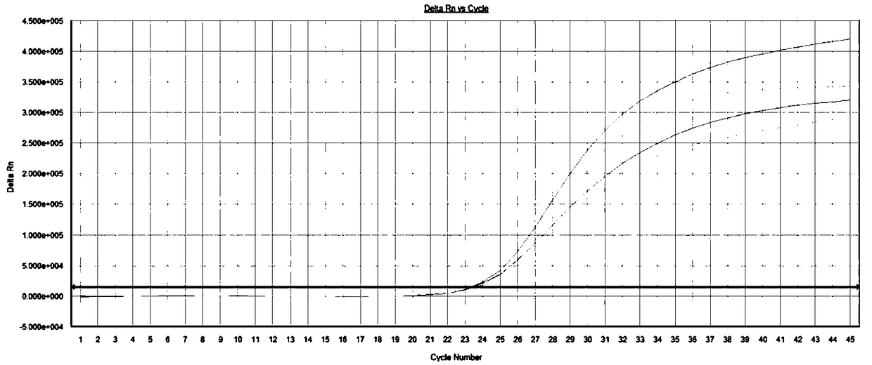 Multiplex fluorescent PCR detection kit for periodontitis pathogenic bacteria