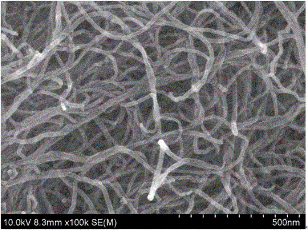 Carbon nano-tube preparation method