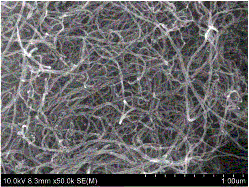 Carbon nano-tube preparation method