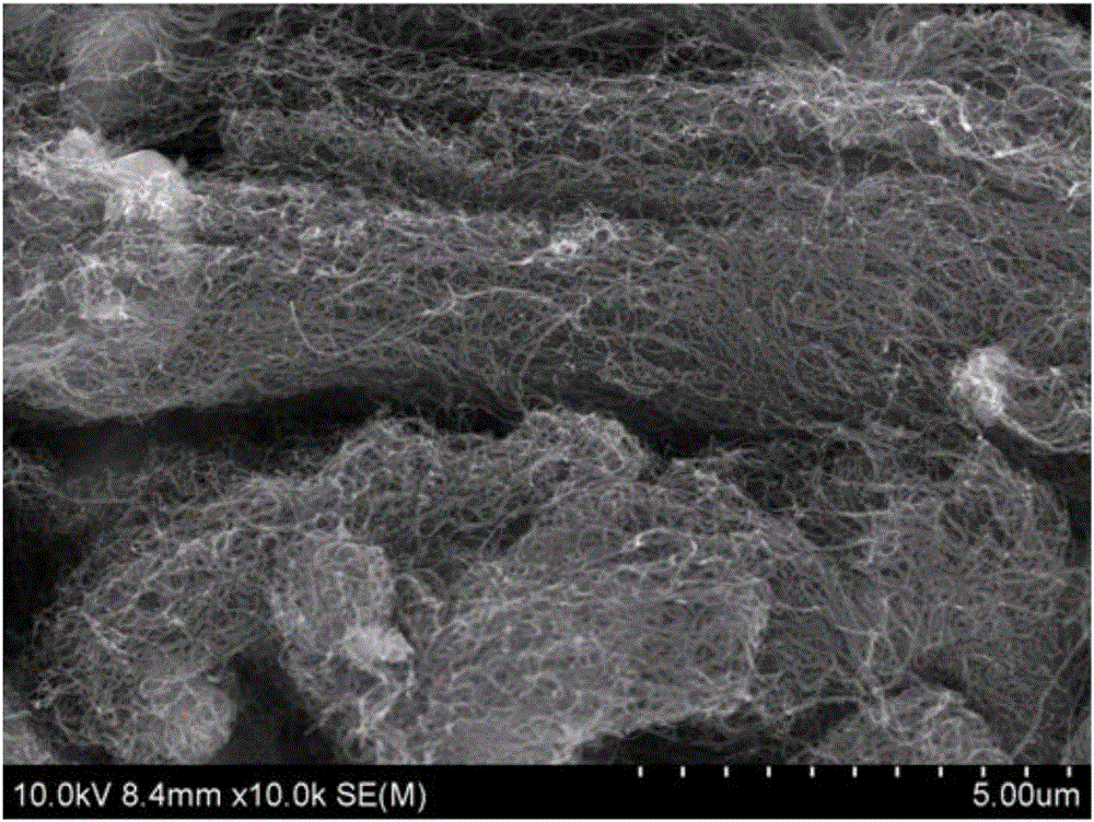 Carbon nano-tube preparation method