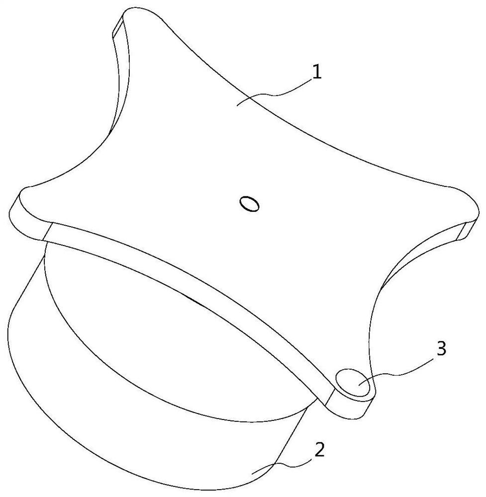 Manual grinding and polishing microsection auxiliary set and auxiliary tool