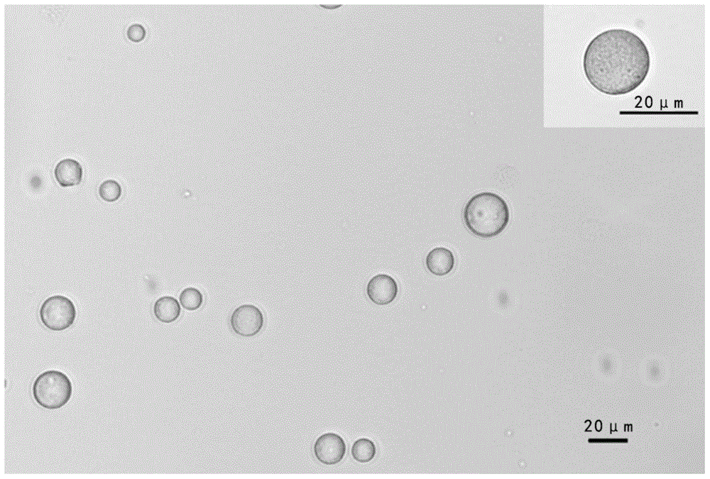 Method for cell preservation by use of biocompatible particles