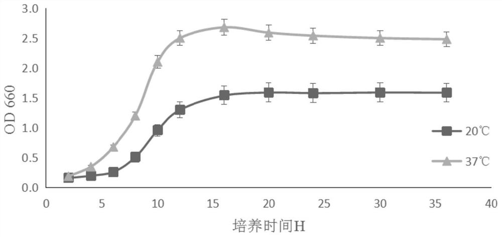 A plant Bacillus gbw-f008 producing indole acetic acid and its application