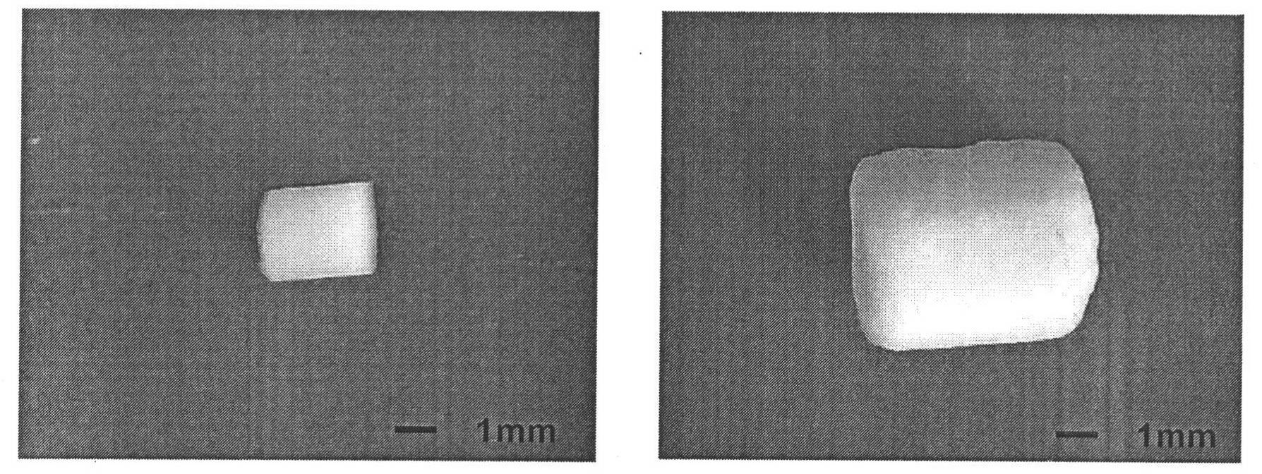 Biodegradable poly(butylene adipate/terephthalate) hollow foamed particle and preparation method thereof