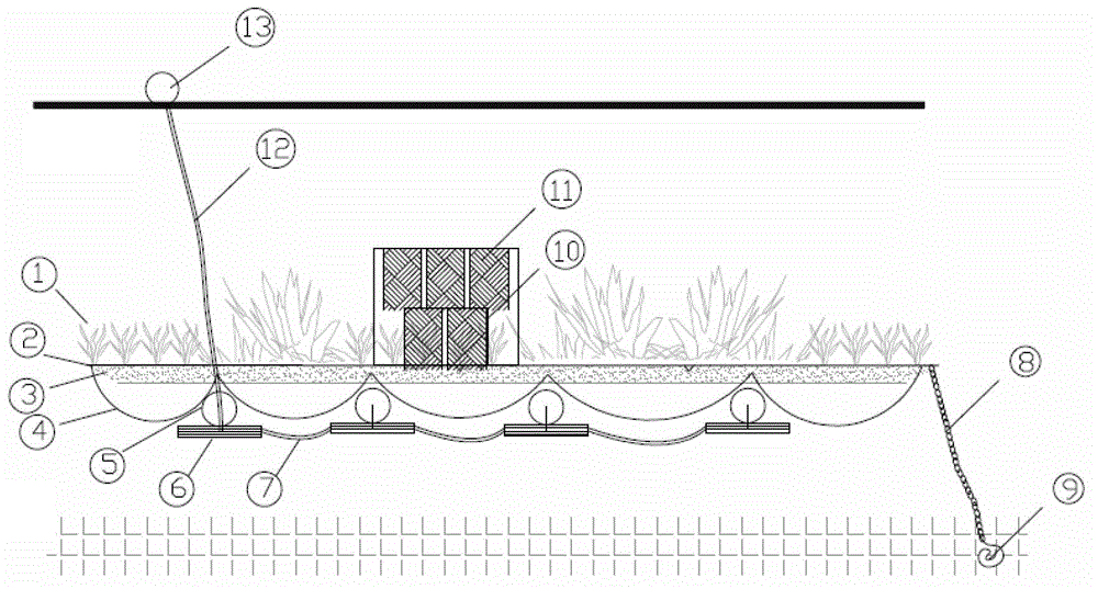 A rapid colonization device for submerged plants