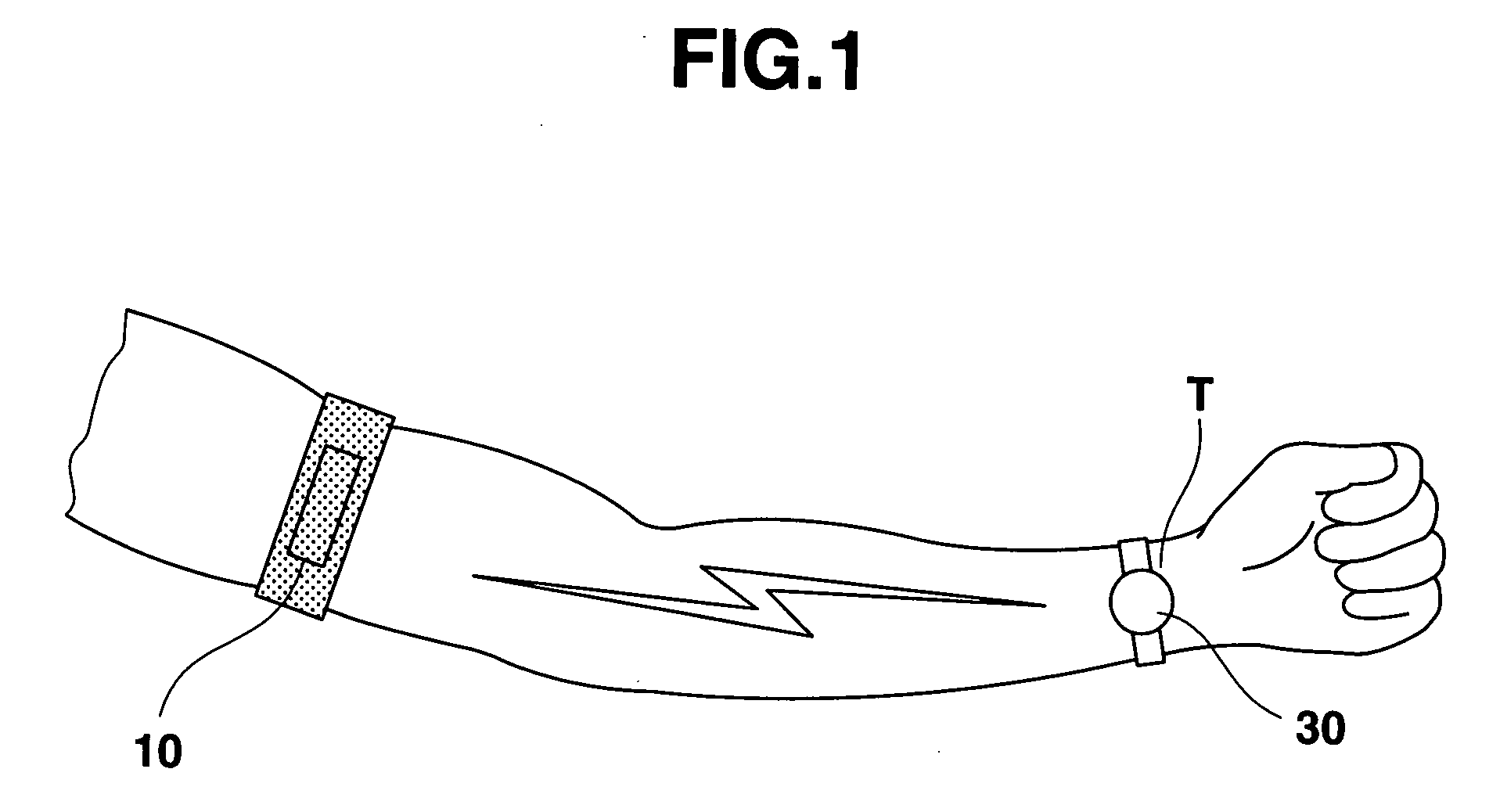 Living body information measuring apparatus and system