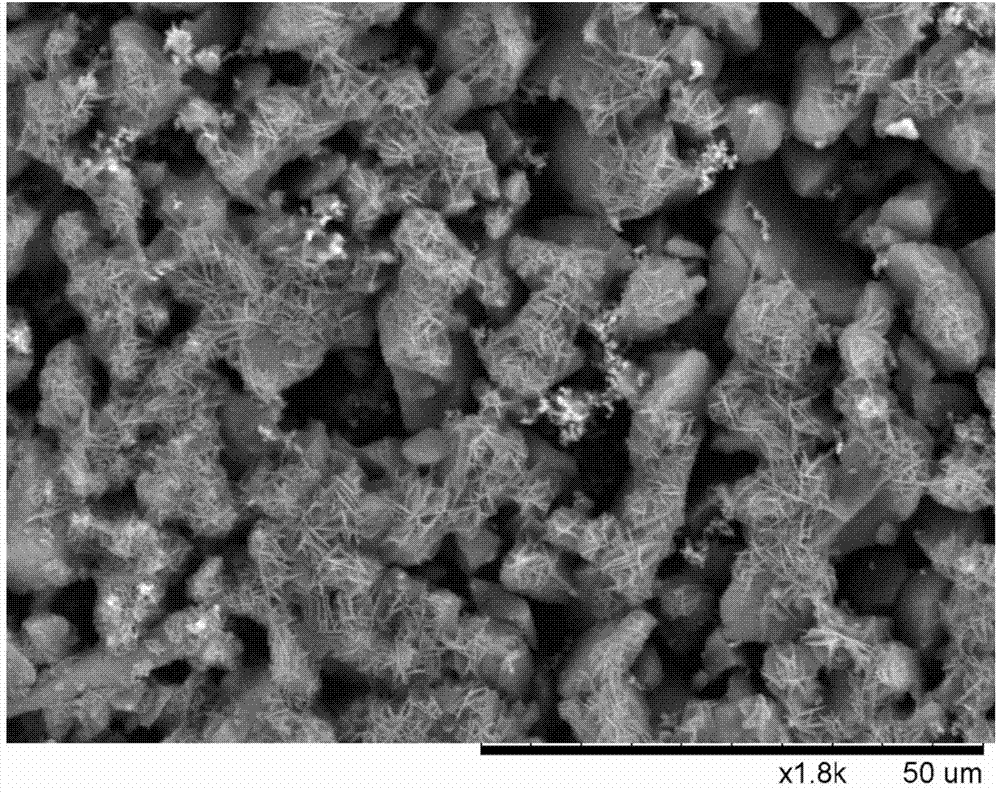 Preparation method of energetic fullerene thin film in petal-shaped microstructure